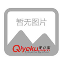 供應(yīng)意大利RE糾偏控制器，RK-ONE